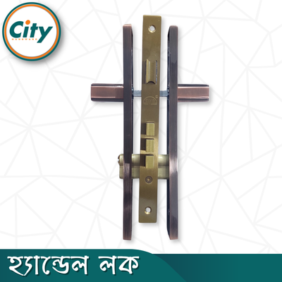 উচ্চ সুরক্ষা স্ট্যান্ডার্ড সাইজের হ্যান্ডেল লক প্রধান দরজার জন্য লক অ্যান্টিক রঙের দরজার লক Door Lock_img_4