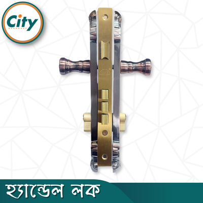 উচ্চ সুরক্ষা স্ট্যান্ডার্ড সাইজের হ্যান্ডেল লক প্রধান দরজার জন্য লক অ্যান্টিক রঙের দরজার লক Door Lock_img_4