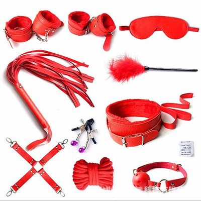 10-Piece Soft BDSM Play Set_img_2
