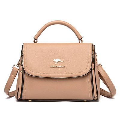 Ladies Hand bag_img_2
