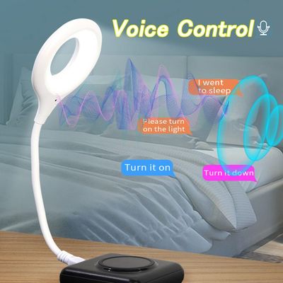 Smart intelligent Voice Light Control USB Night Light for Bedroom