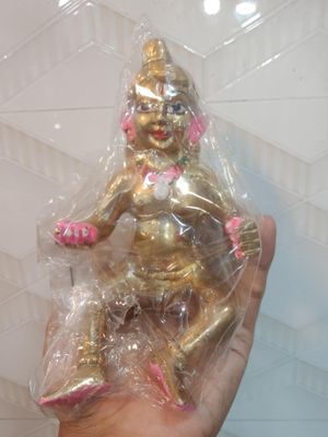 বসা গোপাল এক কেজি_img_0