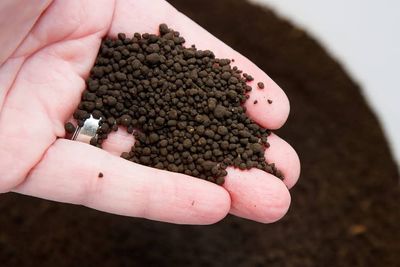 ADA Amazonia Soil V2  (1 kg repack)_img_0