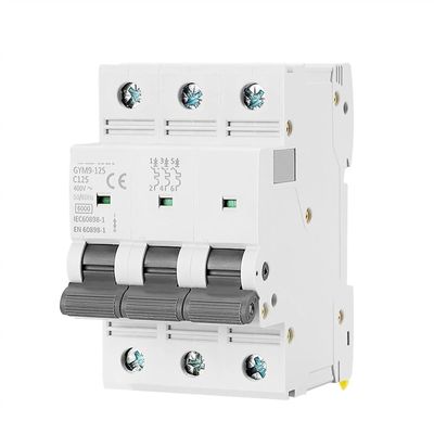 TP MCB Circuit Breaker | 230/400V_img_0