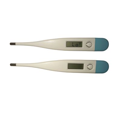 Digital Thermometers