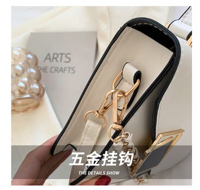 Cross-border Bag Women's Bag 2025 New Trendy Fashionable All-match Shoulder Bag Women's ins Internet Popular Foreign Style Portable Crossbody Bag_img_7
