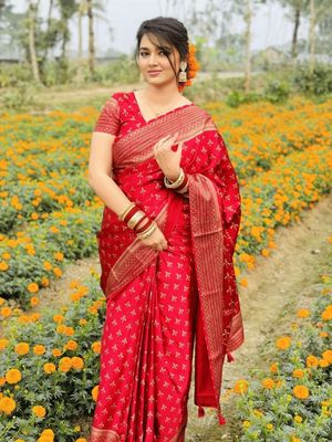 Premium Japani Silk Saree With Blouse Piece_img_2