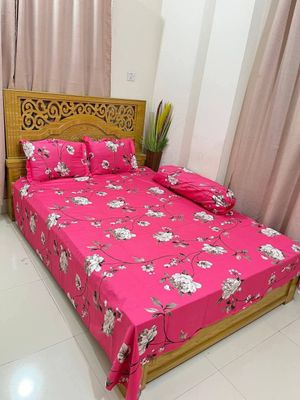 Comforter_img_24
