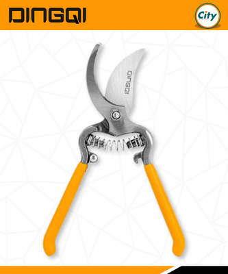 ১০ ইঞ্চি গার্ডেন সিসরস গাছের ডাল ছাঁটাই করা কাঁচি DINGQI ART44210_img_1