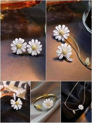 Pendant+Earring 2 pair+Bracelet+Finger Ring_img_1