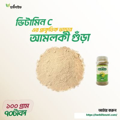 আমলকি পাউডার / Amalaki powder (১০০ গ্রাম )_img_1