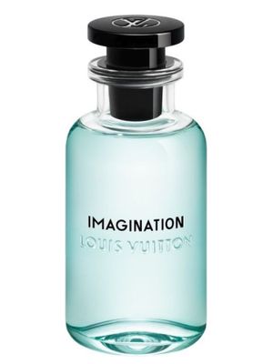 Imagination Louis Vuitton_img_0
