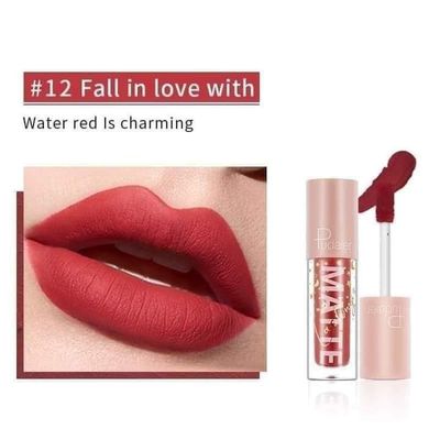 Pudaier 12 Colors Waterproof Matte Lipstick set_img_13