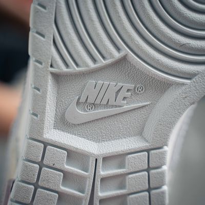 Nike Dunk Lows (1:1)_img_8