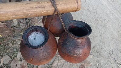 যশোরের যশ খেজুরের রস | কৃষি ও সেবা_img_3