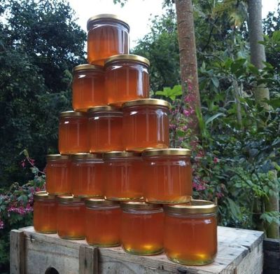 Pakistani sidr Honey_img_1