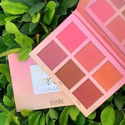 imagic blush pallet ( china )_img_0