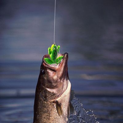 2 pcs frog bait for fishing | Fishing Lure | frog Lure | Bang | Shol Fishing Lure | Floating Bait Realistic Swimbait Topwater Frog Fishing Lure | Floating Bait, Artificial Sofish Fishing Lure for Pike, Trout, Saltwater, Freshwater Aznever_img_4