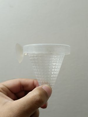 worm feeding cone_img_1