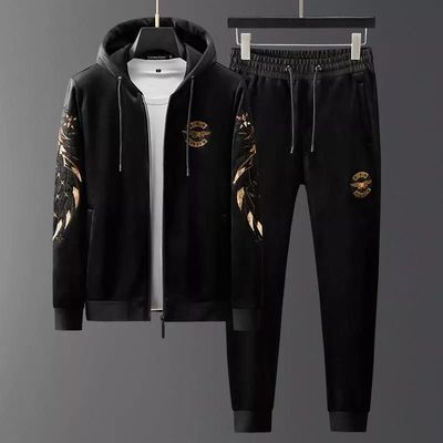 Hoodie Plus Trouser Combo_img_2