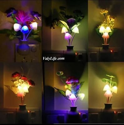 LED Mashroom Lamp_img_12