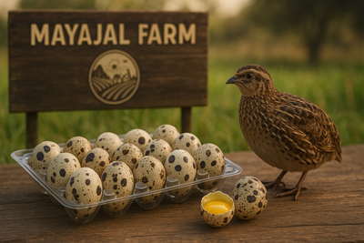 organic/Quail.egg._img_0
