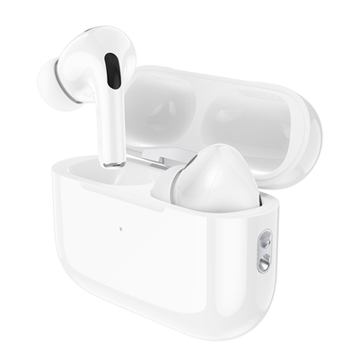 Hoco EW63 ANC True Wireless Bluetooth Earbuds_img_0