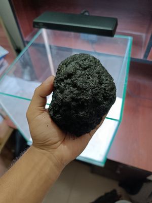Black lava rock_img_0