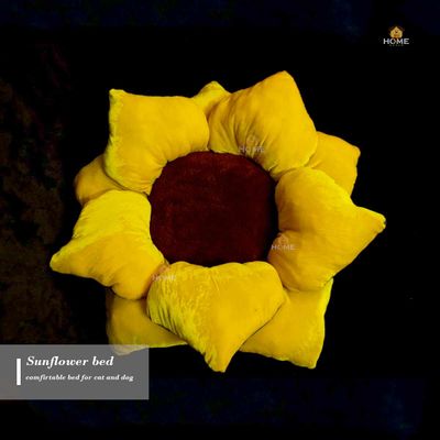 Sunflower bed_img_2