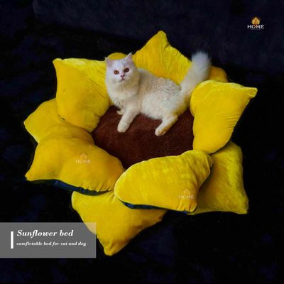 Sunflower bed_img_3