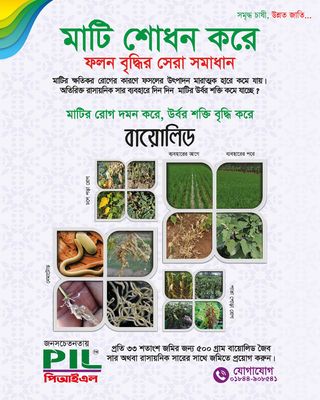 বায়োলিড ( ট্রাইকোডার্মা পাউডার ) । Biolead (Trichoderma powder)_img_2