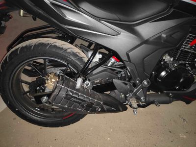 Premium SS Silencer Gourde For Honda Hornet & Hornet 2.0_img_1