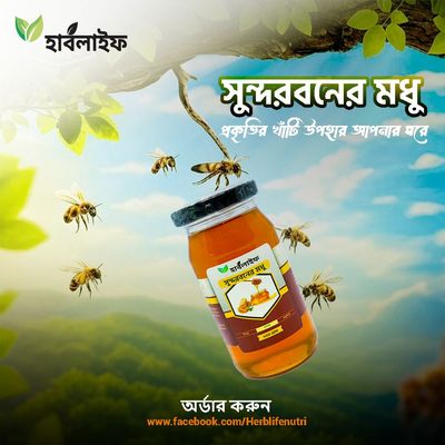 সুন্দরবনের মধু_img_1