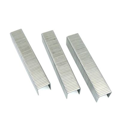Tolsen 1000Pcs Staples Wire Refill (1.2 x 10mm ) Model: 43029_img_3
