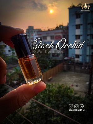 Black Orchid Oud Edition