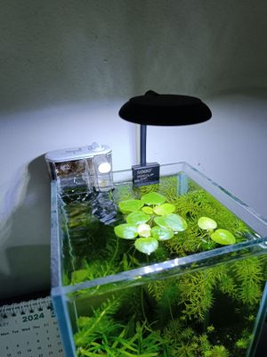 mini clip lamp ( 5 watt)_img_0