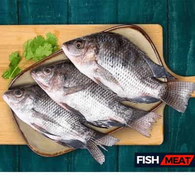 Telapia (2-4 Pcs) -01 Kg_img_0