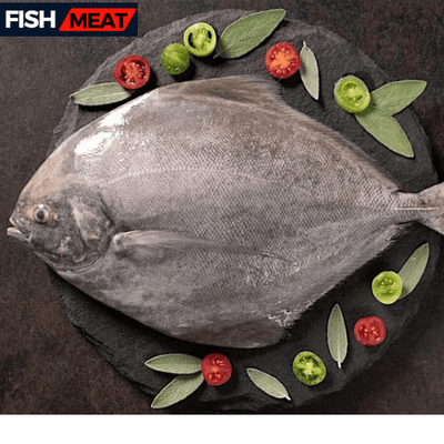Black Pomfret( 01 Pcs Kg+) -1 kg_img_0