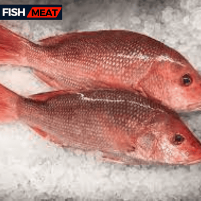 Red Snapper - For Bar-B-Que(400gm- 500 gm)- 1 kg_img_0
