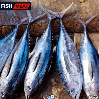 Sea Tuna Fish-1 kg