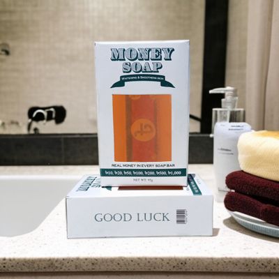 Money Soap_img_3