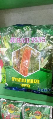 যুরাহ ২৫৫৫ হাইব্রিড ভূট্টা বীজ । Jurah 2555 Hybrid Corn  / Maize Seed_img_0