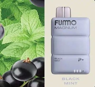 FUMMO Magnum 8000 Puffs Disposable Vape In UAE_img_1