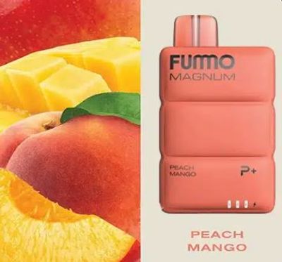 FUMMO Magnum 8000 Puffs Disposable Vape In UAE_img_2