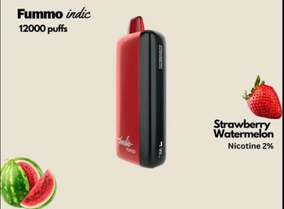 Authentic FUMMO Indic 12000 Puffs Disposable Vape_img_3