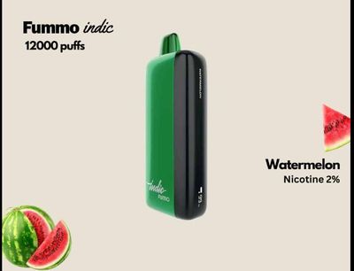 Authentic FUMMO Indic 12000 Puffs Disposable Vape_img_2