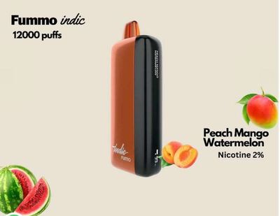 Authentic FUMMO Indic 12000 Puffs Disposable Vape_img_4