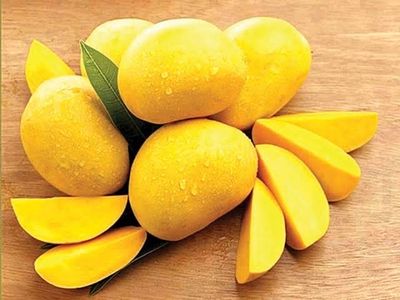 রাজশাহীর অর্গানিক ল্যাংড়া আম (Lengra Mango)_img_9