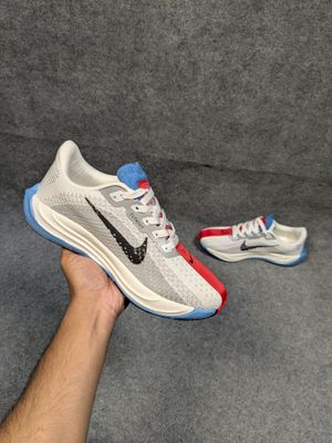 Nike Pegasus Plus_img_0