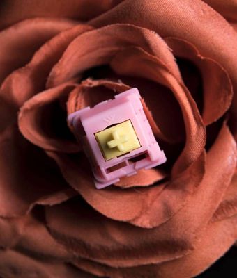 KTT Rose 5Pin Linear Switch_img_1